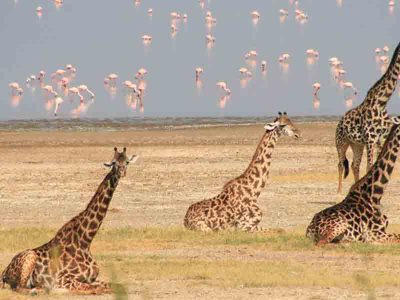 lake-manyara