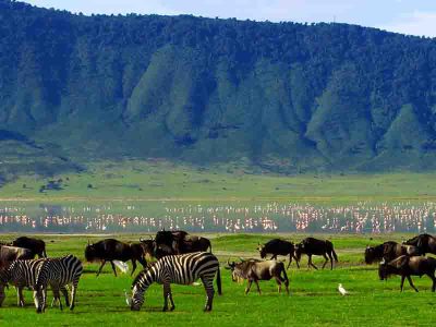 ngorongoro-conservation-area