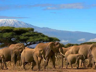 mount-kilimanjaro