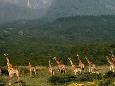 arusha-national-park