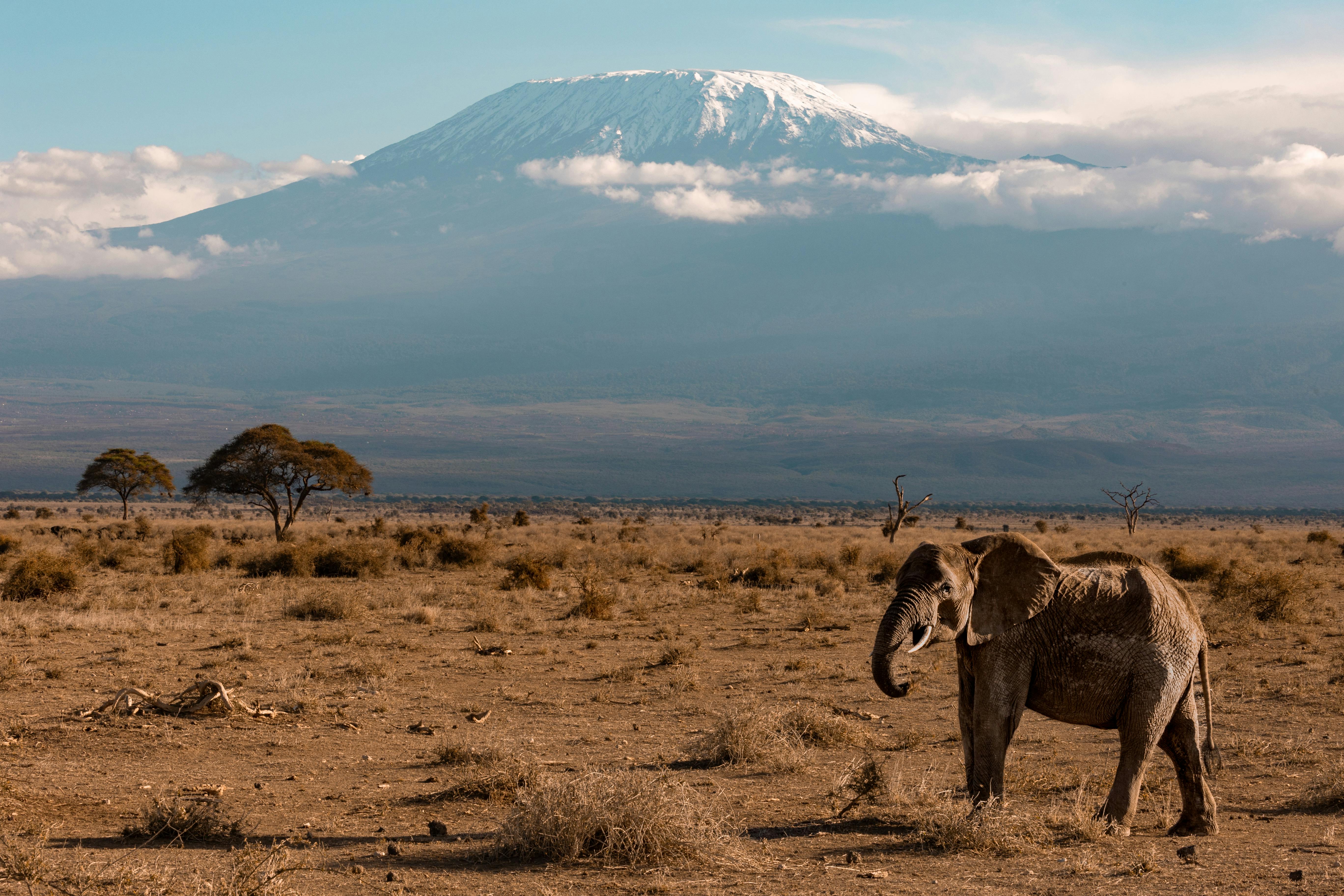 8-Day Mount Kilimanjaro Trek – Machame Route